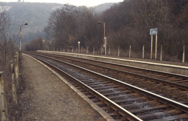 Houx - TH 83-2055.jpg